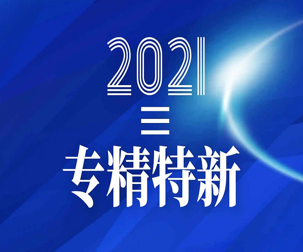 喜报 | 乐凡信息入选“2021年广东省专精特新企业”名单！