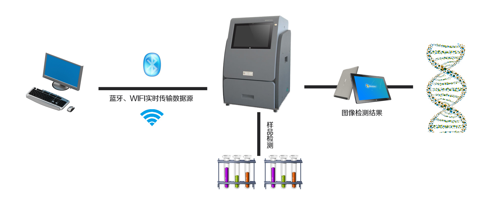乐凡一体式凝胶成像仪解决方案拓扑图