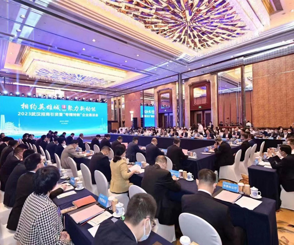 相约英雄城 聚力新动能 | 乐凡信息应邀出席2023武汉招商引资暨“专精特新”企业恳谈会