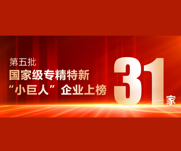 喜报！“专精特新”企业书记工作室培育31家企业上榜第五批国家级专精特新“小巨人”企业！